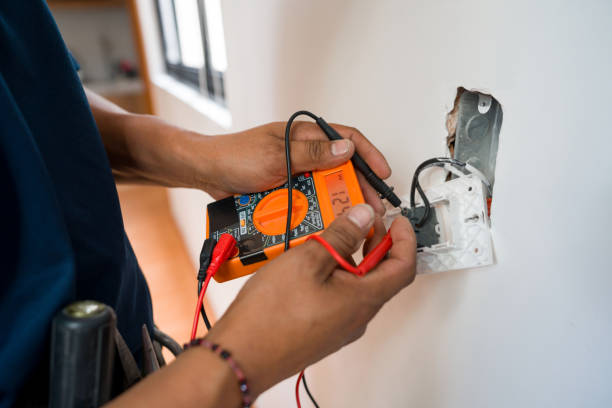 Best Electric Panel Repair  in Halawa, HI